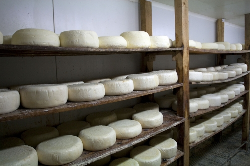 Fabrication artisanale du fromage de brebis des Pyrénées [Béarn].