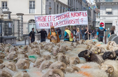 Manifestation anti-ours à Pau, Béarn, Pyrénées-Atlantiques.