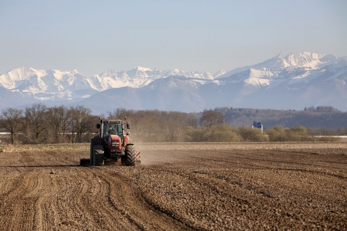 Agriculture en Béarn, labourage des sols
