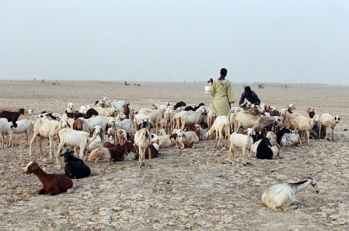 Mopti ville du sahel africain au Mali.